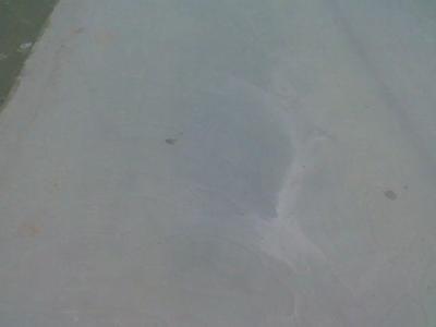 2019102214371557.jpg 2019102214371557.jpg